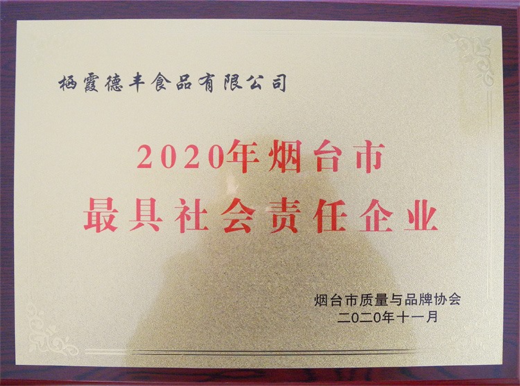 2020年煙臺市最具社會責任企業