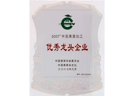 中國果菜加工優秀龍頭企業