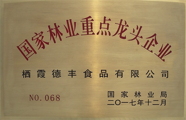 國家林業重點龍頭企業