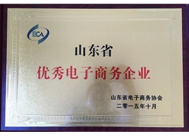 山東省優秀電子商務企業