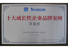 十大成長性企業品牌案例（蘋果類）